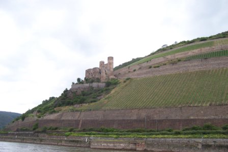 2005foto