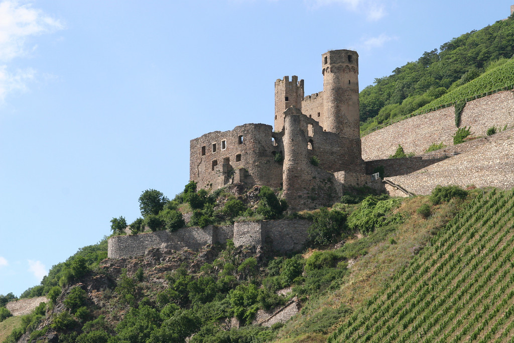 rhein