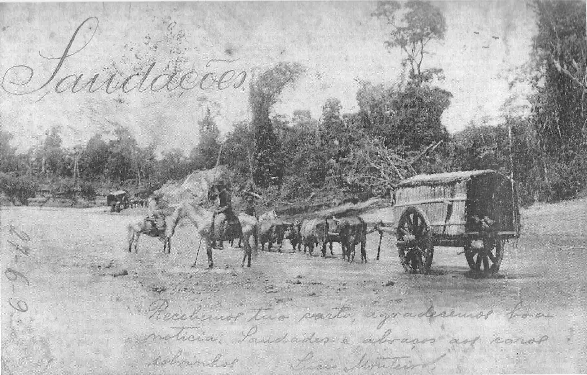 ox cart