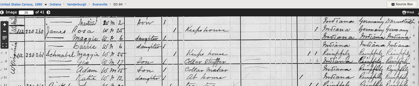 1880 evansville census