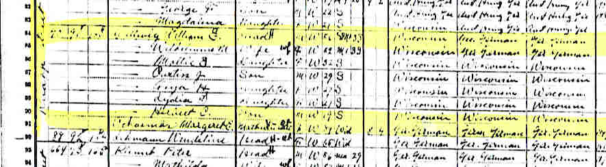 1910 census dallwig