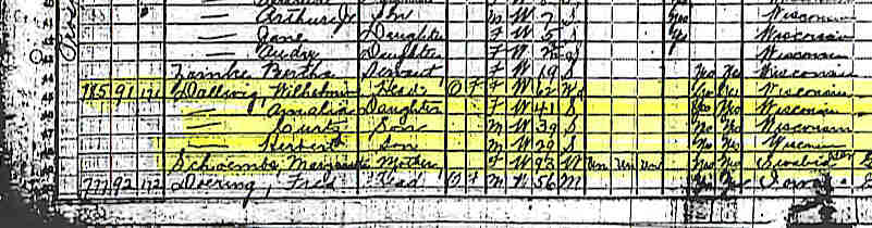 1920 dallwig census