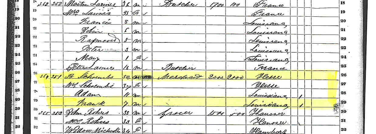 1860 census content