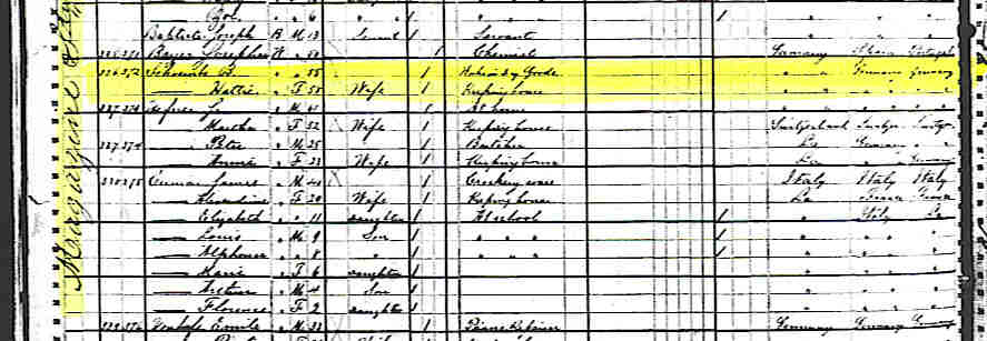 1880 Census