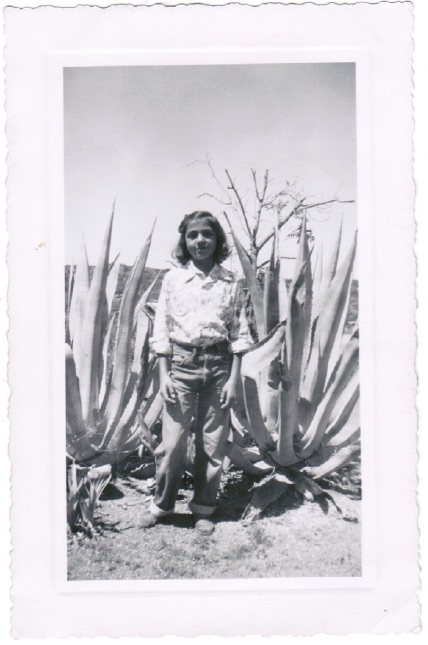 lee cactus