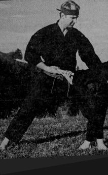 peter ninjutsu